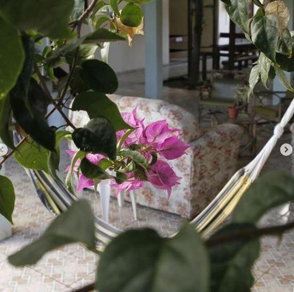 Hotel Pousada Guaypora グアラパリー エクステリア 写真