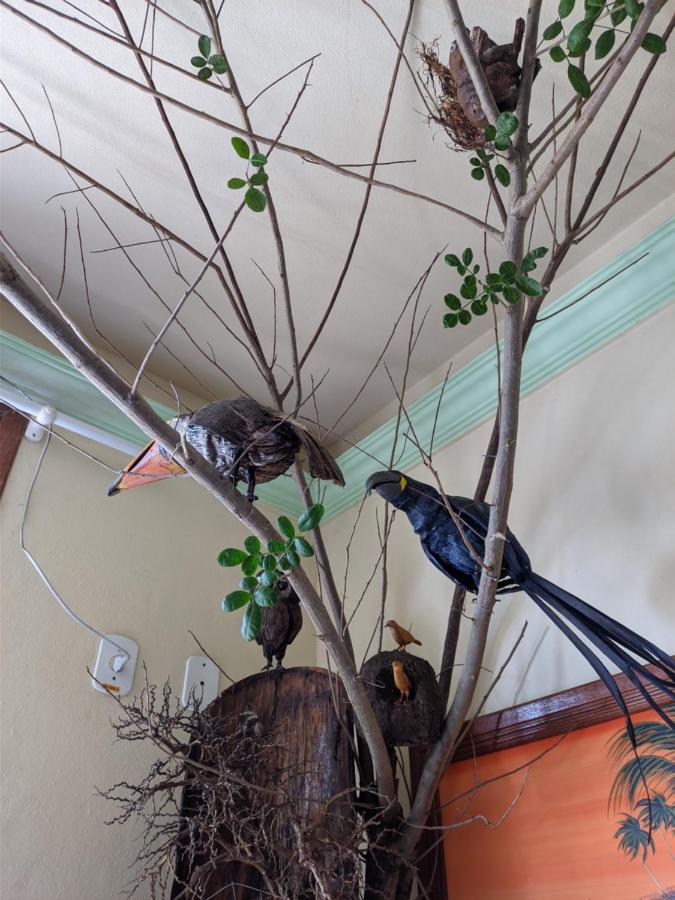 Hotel Pousada Guaypora グアラパリー エクステリア 写真